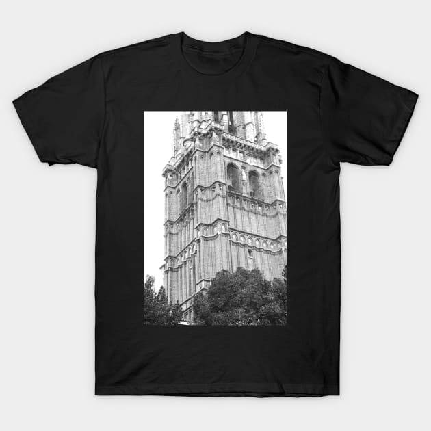 toledo cathedral bell tower I T-Shirt by terezadelpilar